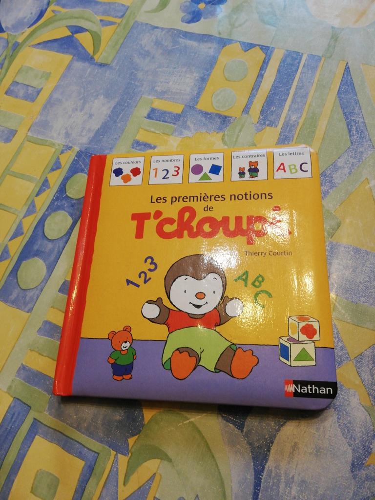 Les premières notions de T'choupi., Livres, Enlèvement ou Envoi, Comme neuf
