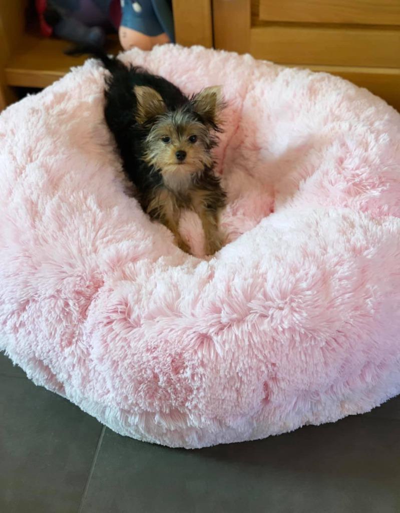 Bessie and Barnie bagel bed S, Ophalen of Verzenden, Nieuw, Overige