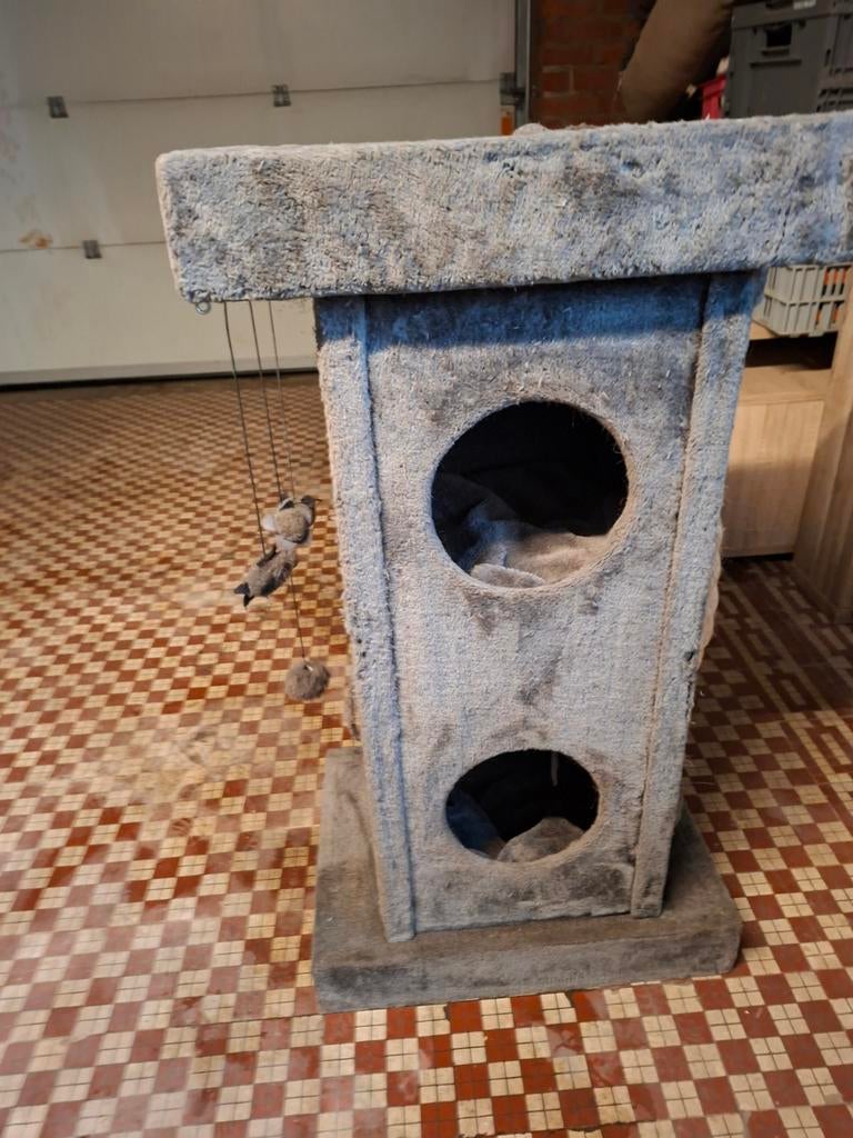 arbre a chat formidabele bon pour des heures d amusement, Animaux & Accessoires, Enlèvement ou Envoi, Griffoir