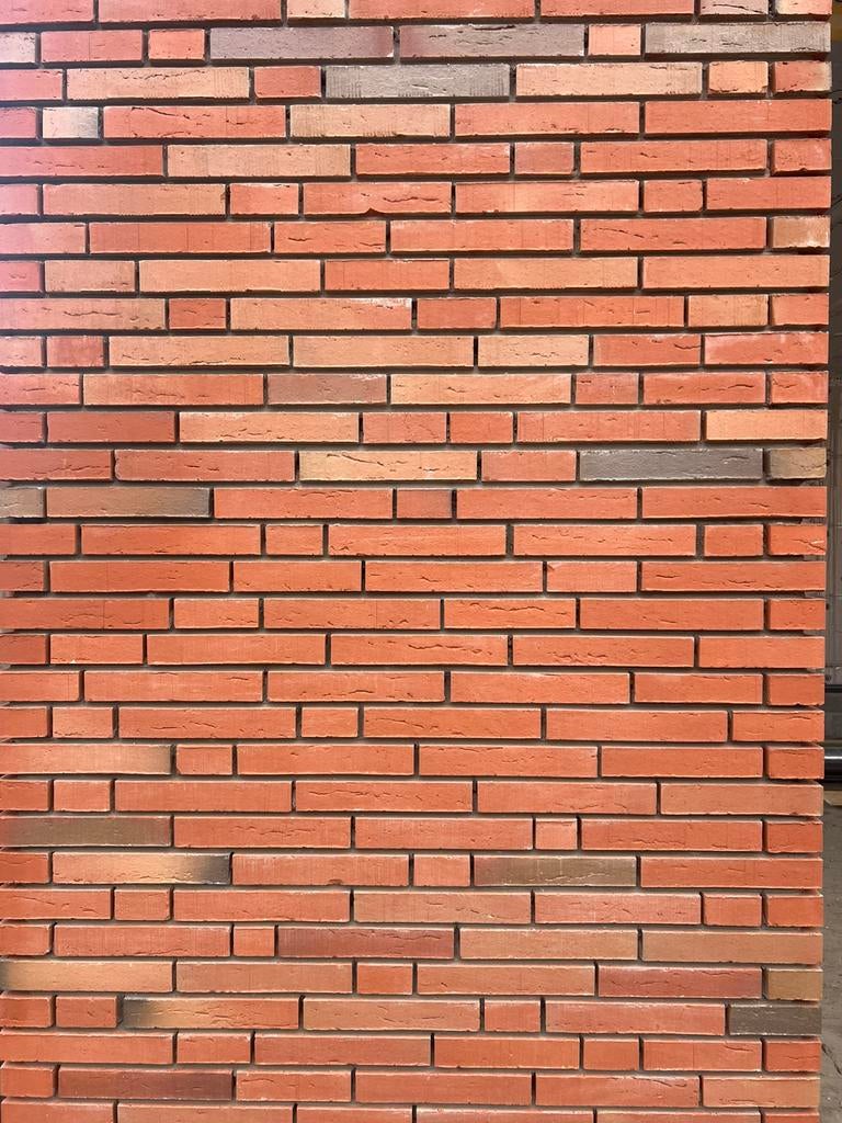 Gevelsteen Elignia Robina Wienerberger, Enlèvement, Neuf