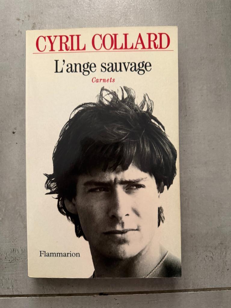 De wilde engel - Cyril Collard, 1993, Ophalen, Zo goed als nieuw, Cyril Collard, Film, Tv en Media