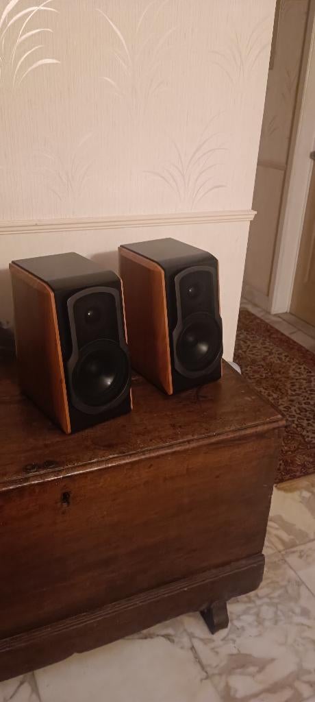 Edifier S1000 DB 120 watt, Ophalen