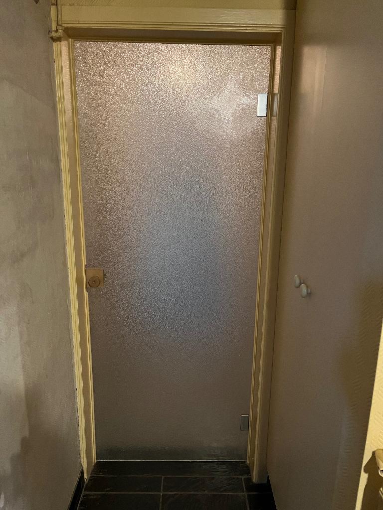 Porte vitrée, Bricolage & Construction, Porte intérieure, Verre, Enlèvement, 200 à 215 cm