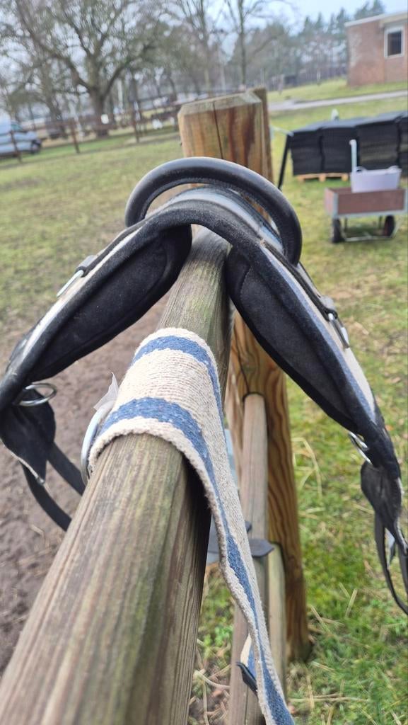 Voltige singel / longeersingel, Ophalen of Verzenden