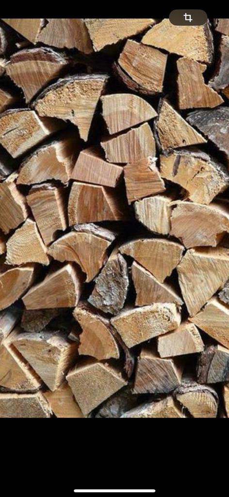 Bois de chauffage, Jardin & Terrasse, Bois de chauffage, Enlèvement, Hêtre
