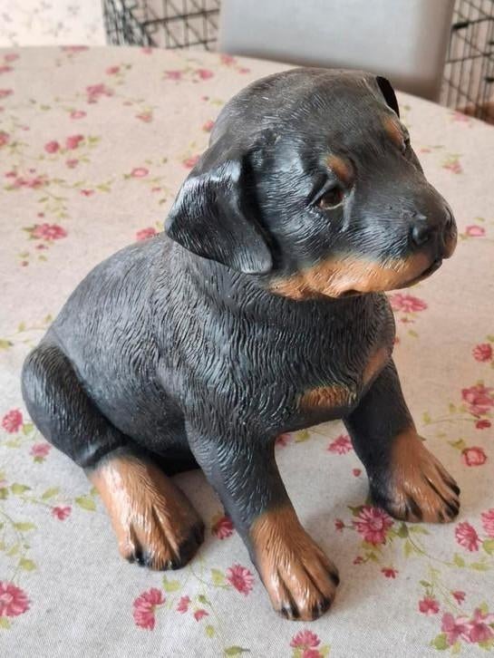 Hond (rottweiler) in polyester, Tuin en Terras, Tuinbeelden, Ophalen