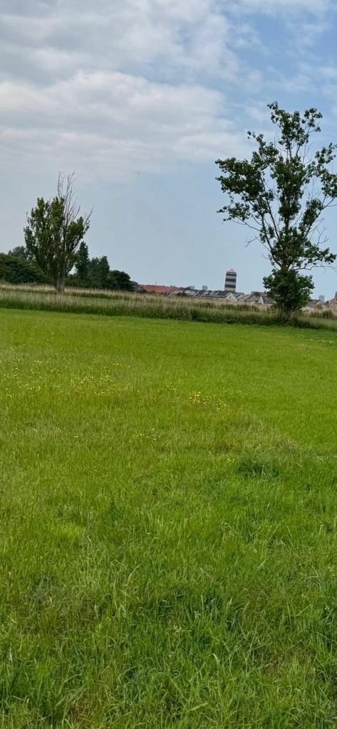 Weide s te huur, Dieren en Toebehoren, Stalling en Weidegang