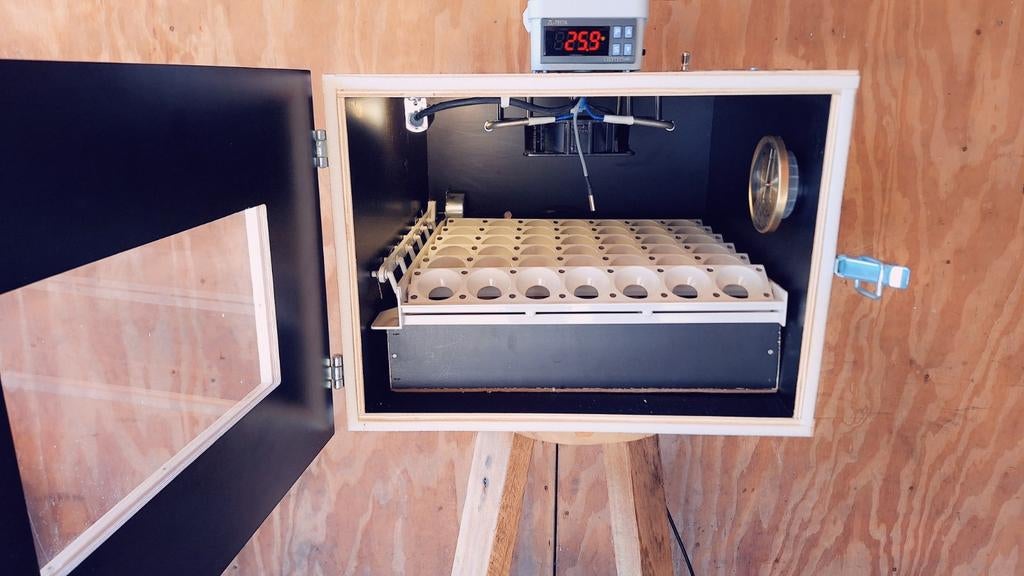 Broedmachine, automatisch,MS 35,MS50, Ophalen of Verzenden, Broedmachine