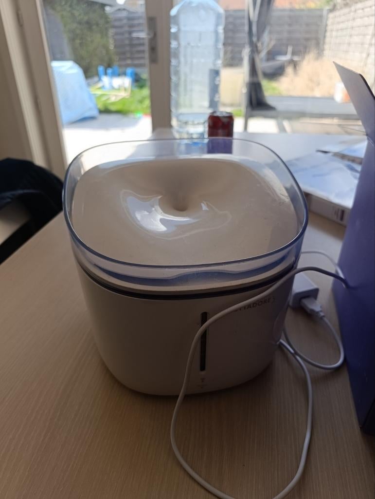 Drinkfontein kat of hond, Enlèvement