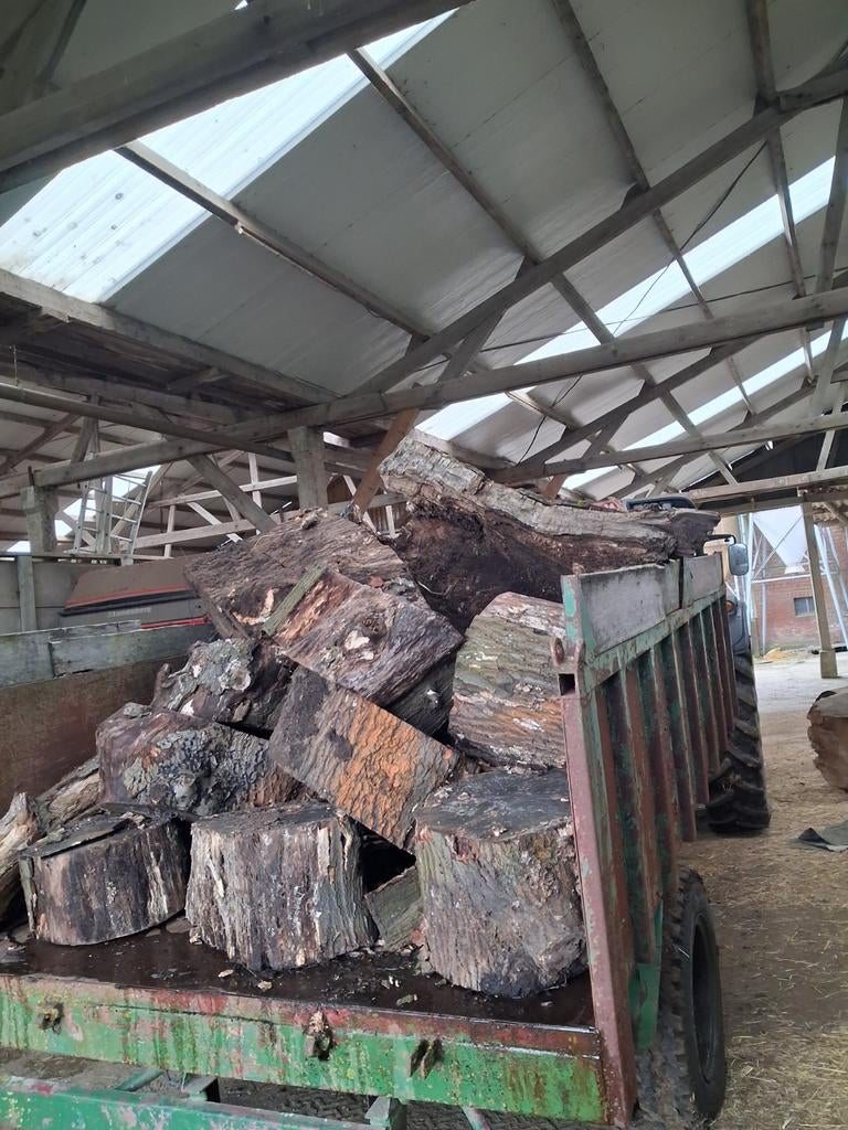 Brandhout eik, Enlèvement