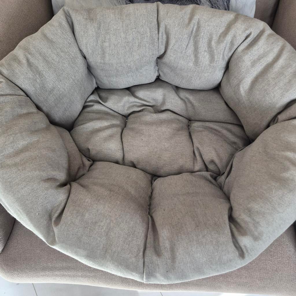 PANIER pour chiens, Enlèvement