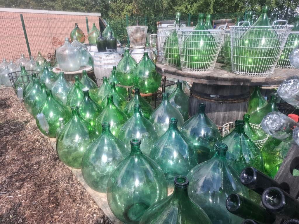 Grand choix de bouteilles de vin Dame Jeanne pour la fabrica, Collections, Vins, Enlèvement