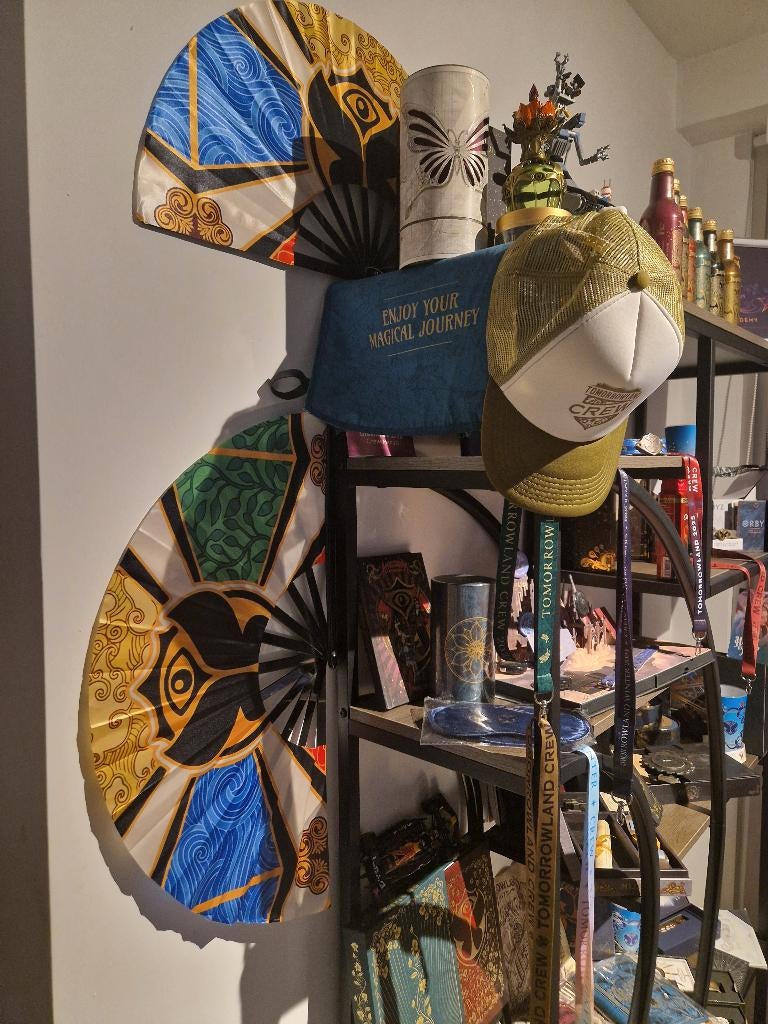 !!Gezocht!! Tomorrowland magnificent green ticket, Tickets & Billets, Une personne