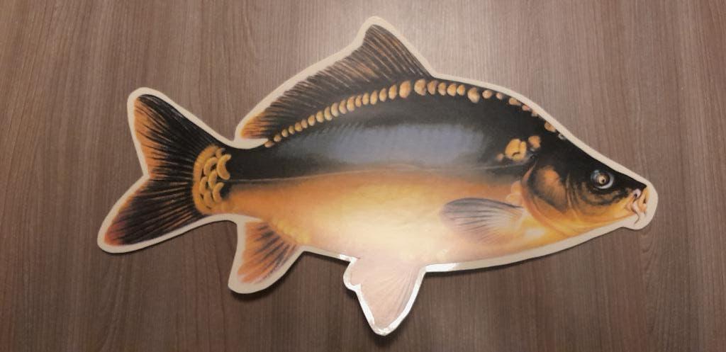 stickers / zelfklevers vijvervissen / zoetwatervissen, Overige soorten