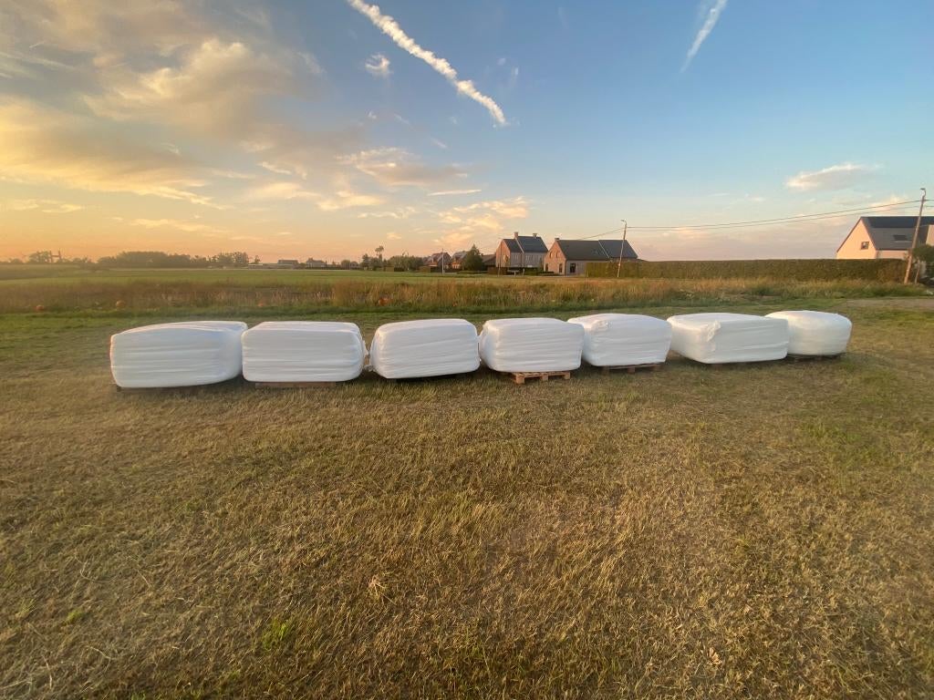 voordroog, Articles professionnels, Agriculture | Aliments pour bétail, Enlèvement ou Envoi