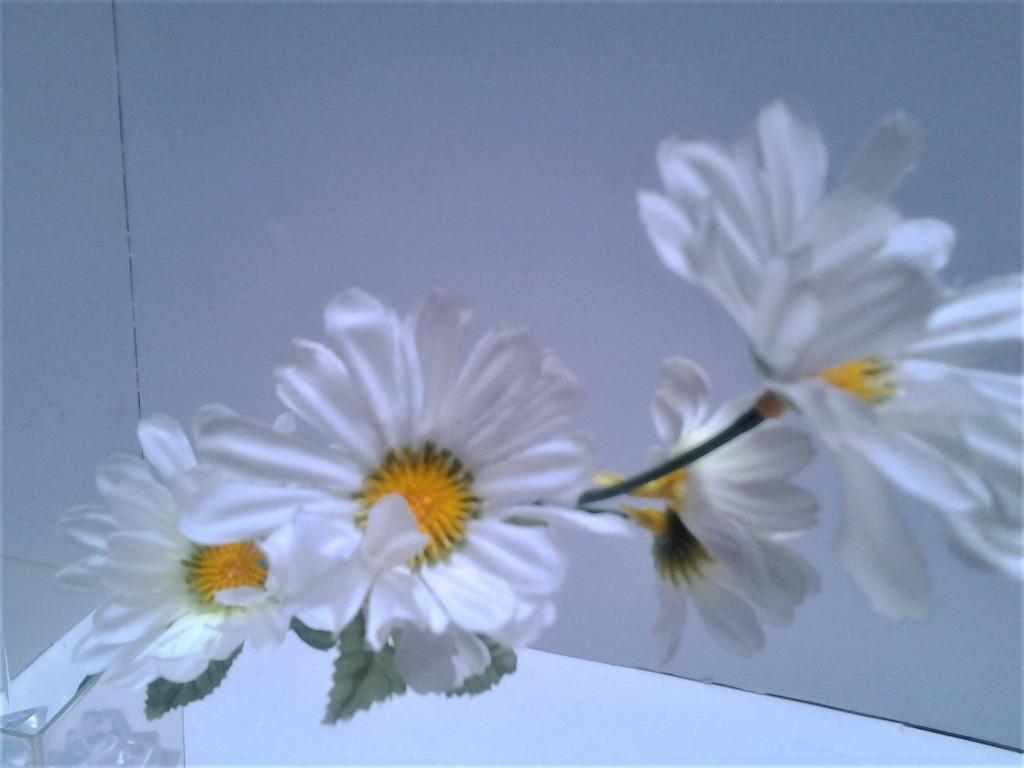 Zijden bloemen op tak - 7 bloemen witte kleur, Enlèvement, Neuf, Autres types