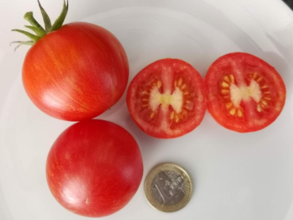 5 graines de tomate rayée Tigerella, Jardin & Terrasse, Bulbes & Semences, Graine, Printemps, Envoi