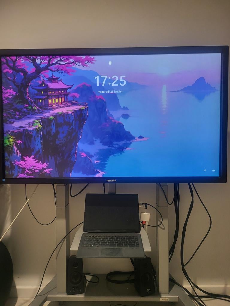 Écran tactile FullHD Philips 55" + Support électrique ErgoXS, Ophalen, Philips, In hoogte verstelbaar, Full HD