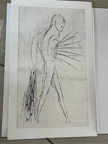 Johan Tahon - Mohawk - Ets, Ophalen