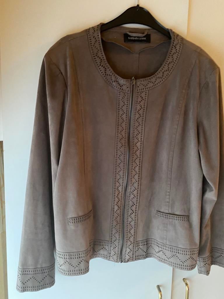 Suede jas, Kleding | Dames, Ophalen, Bruin, Maat 46/48 (XL) of groter, Zo goed als nieuw