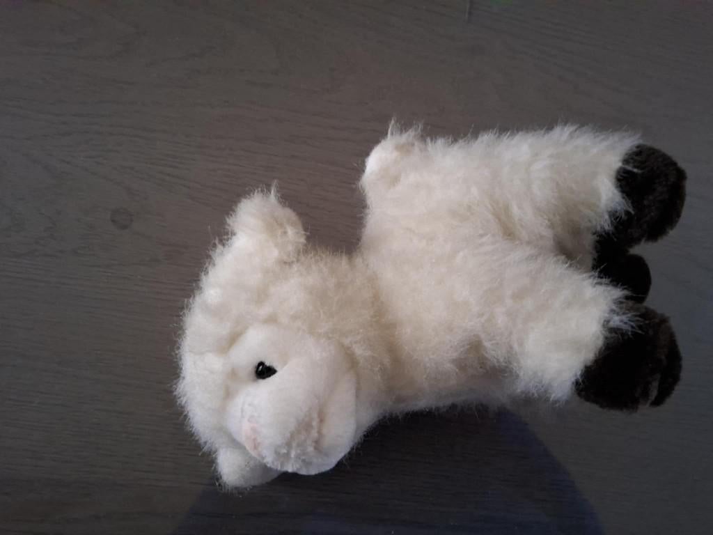 knuffel, Ophalen of Verzenden