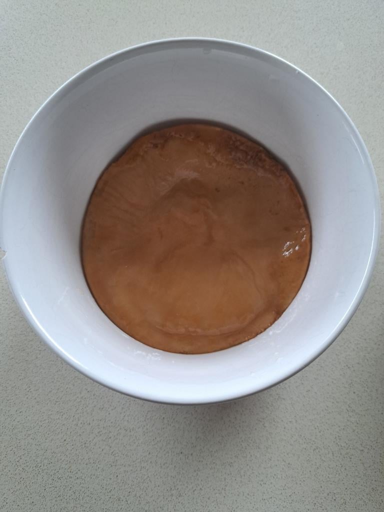 scoby om kombucha te maken., Diversen, Levensmiddelen, Ophalen