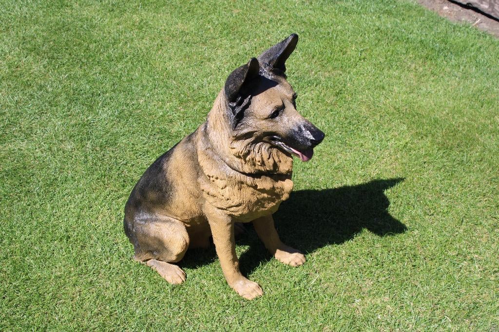 statue chien Berger allemand taille naturel !, Jardin & Terrasse, Statues de jardin, Neuf, Animal, Synthétique, Enlèvement