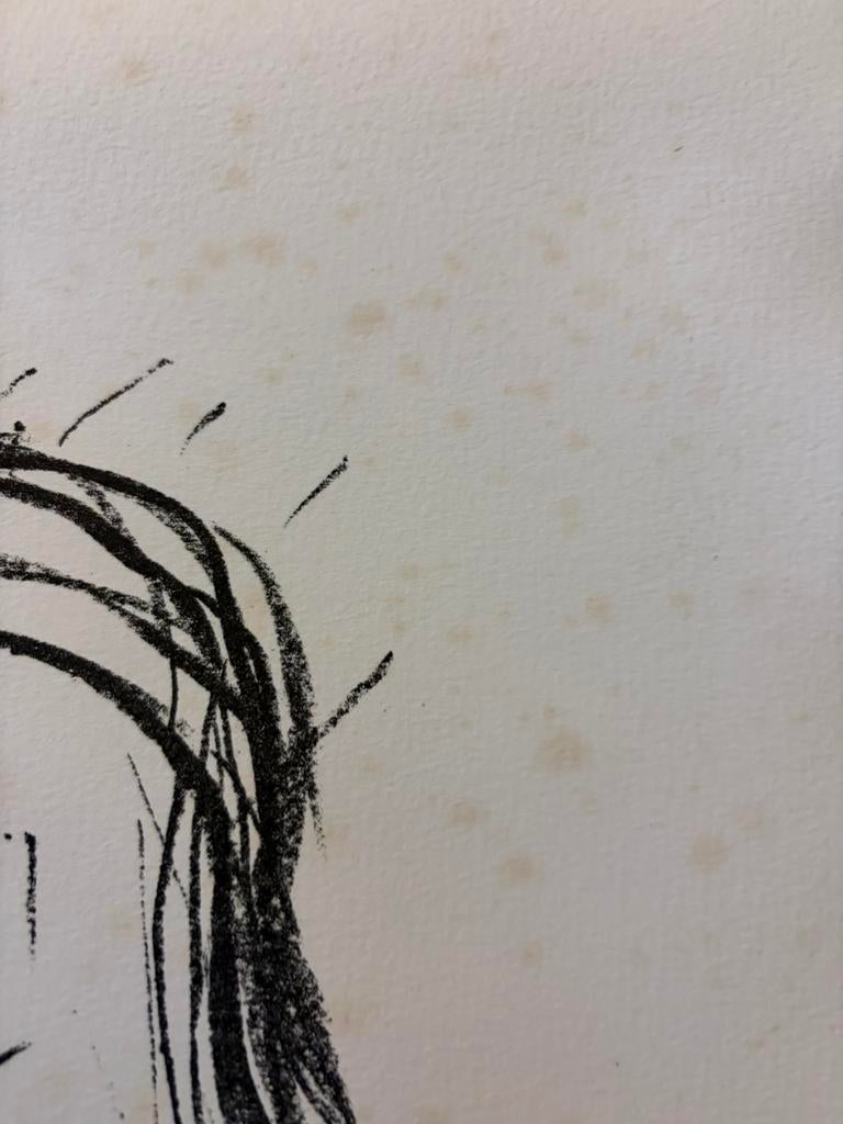 Litho fred bervoets, Ophalen