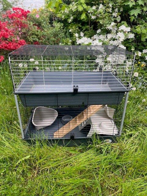 coole hamsterkooi, Ophalen, Gebruikt, Kooi, Hamster