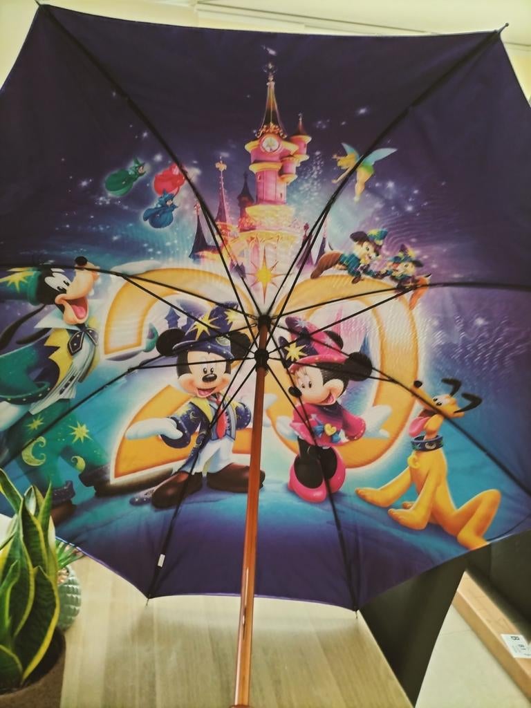 Disneyland Parijs - Collector item (20 jaar / paraplu), Ophalen of Verzenden