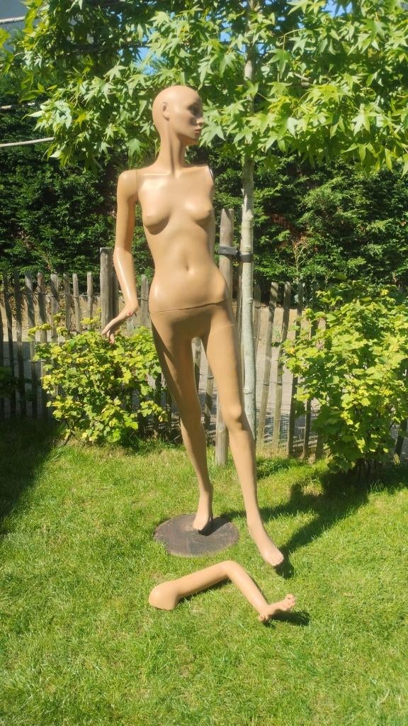 vintage jaren 60 etalagepop, Ophalen