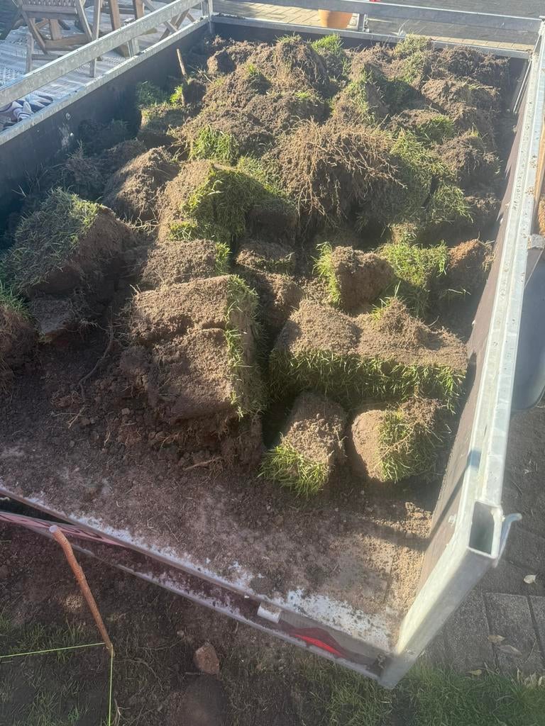 Gratis! Mooi opvulgrond, Enlèvement