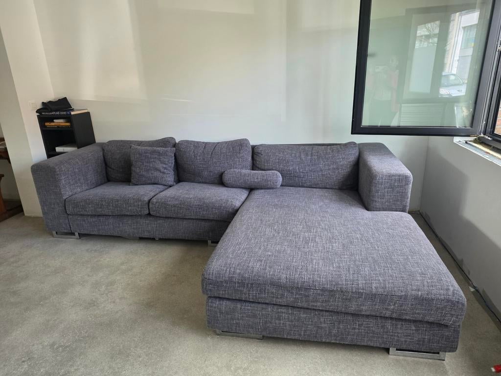 Zetel grijs, Enlèvement