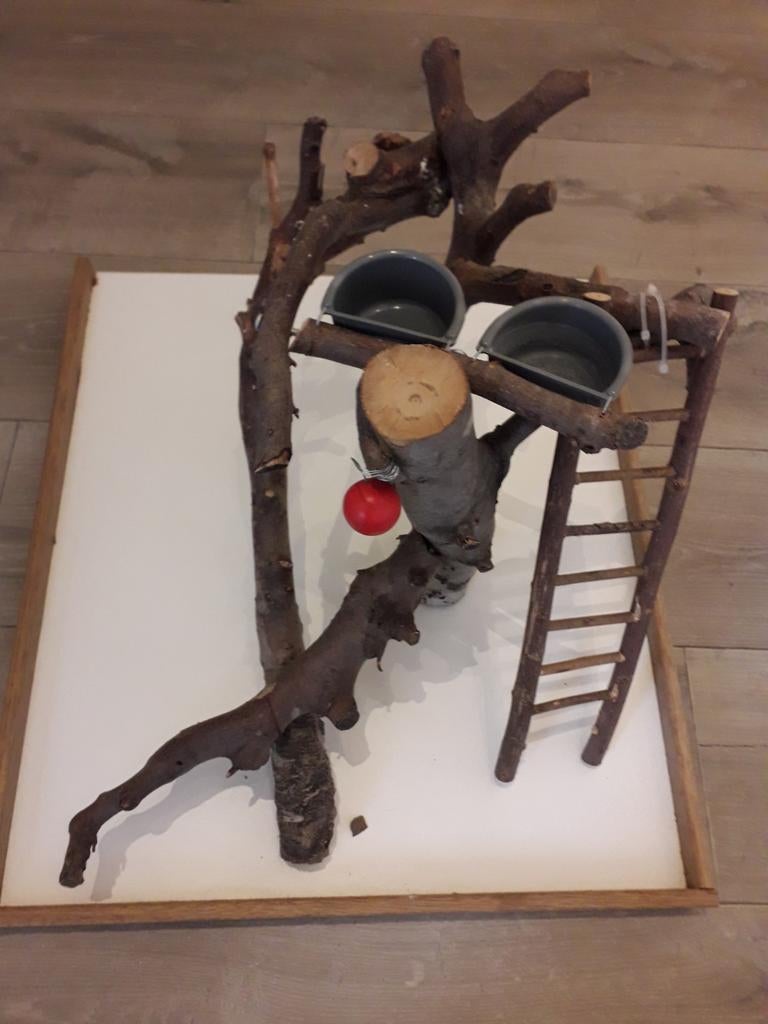 Vogel speeltuin, Enlèvement, Cage à oiseaux