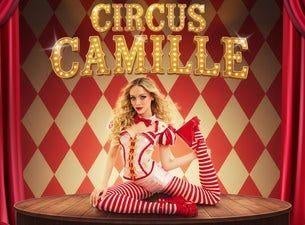 4x tickets Camille circus Oostende, Tickets en Kaartjes, Drie personen of meer