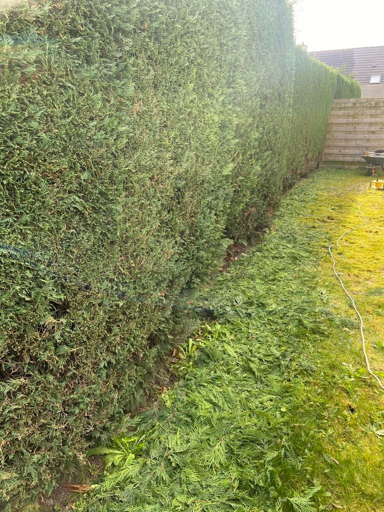 Tuinman met ervaring, Ophalen