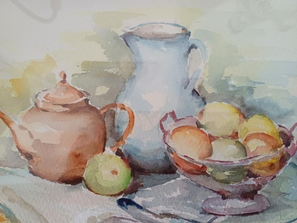 Aquarellen M.VAN DEN BEMPT  30x20 met kadertje, Ophalen of Verzenden