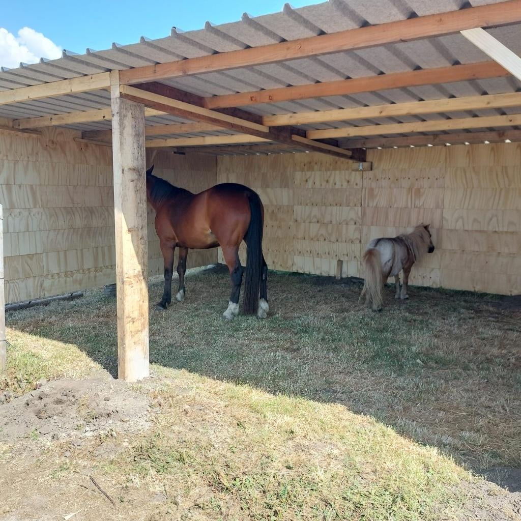 Schuilstal, schuilhok, paardenstal, Dieren en Toebehoren, Stalling en Weidegang, 2 of 3 paarden of pony's