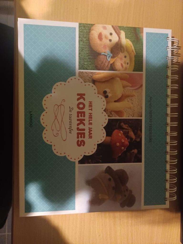 Het hele jaar koekjes bakken, Ophalen of Verzenden, Nieuw