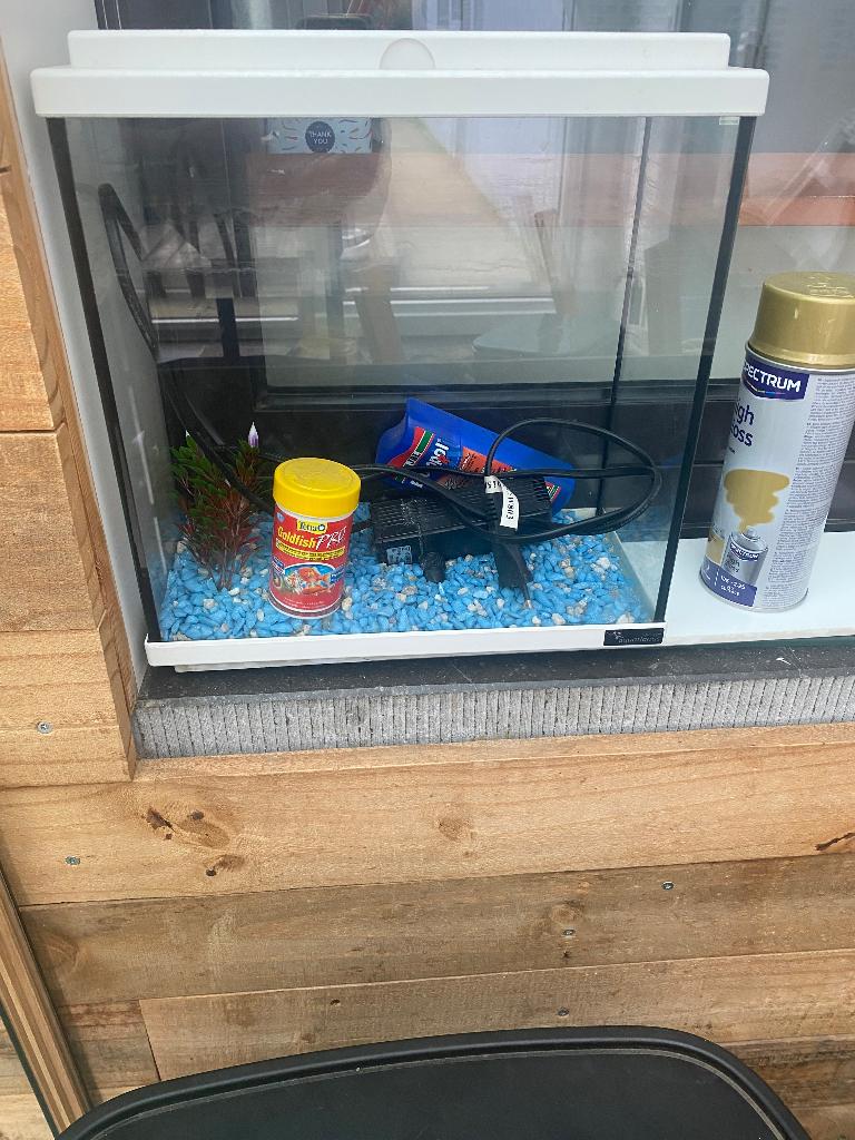 Petit aquarium, Enlèvement, Comme neuf