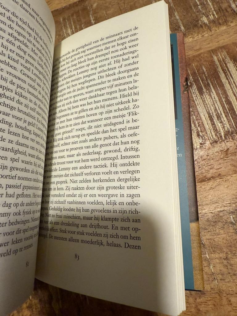 De Grote wereld - Arthur Japin, Boeken, Zo goed als nieuw, Nederland, Arthur Japin, Ophalen of Verzenden