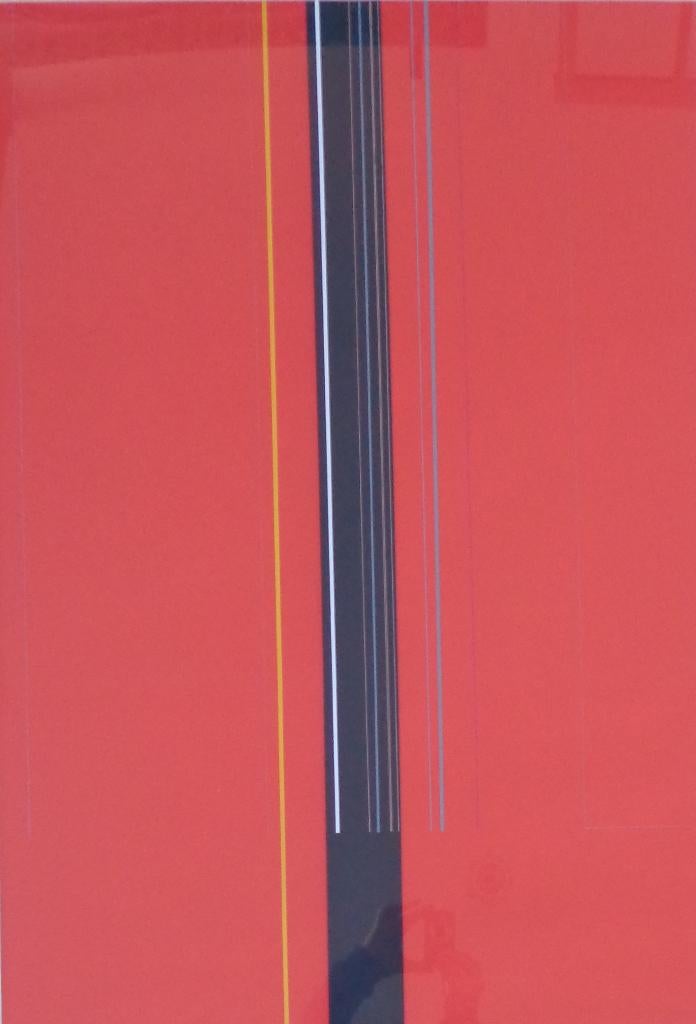 LUC PEIRE / ROSTEL / KLEURZEEFDRUK / 114x77cm / KADER / SIG, Antiek en Kunst, Ophalen