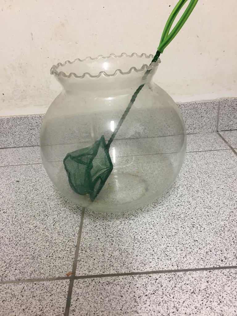 Ronde visbokaal met schepnet., Dieren en Toebehoren, Ophalen of Verzenden, Gebruikt