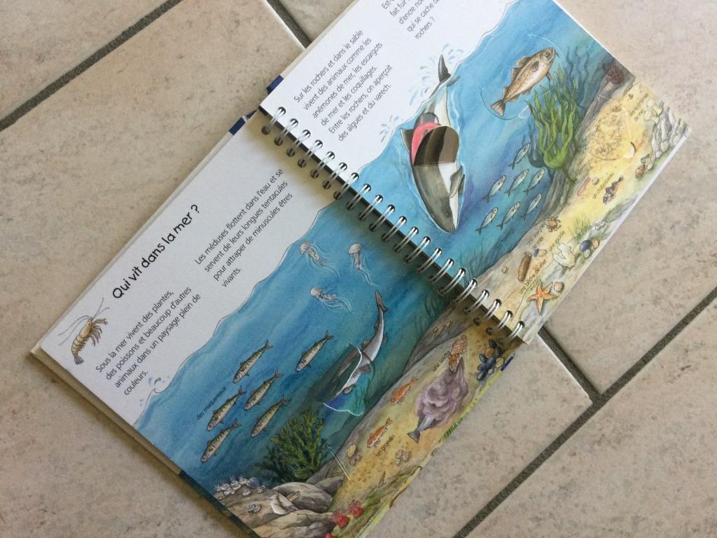 „DORY'S WORLD” /DISNEY/"KLEINE JUNIOREN"PICCOLIA, Ophalen of Verzenden, PICCOLIA/HACHETTE