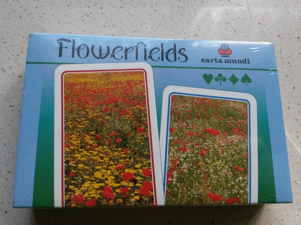 Bridge spellen, Hobby & Loisirs créatifs, Jeux de société | Jeux de cartes, Enlèvement ou Envoi, Neuf