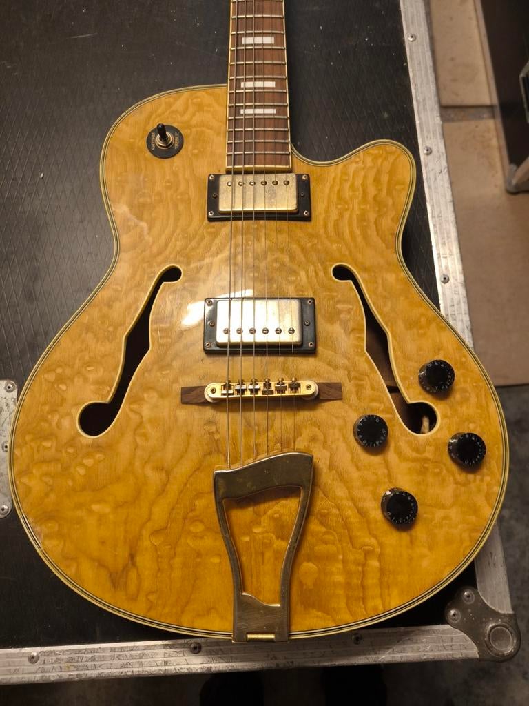 Guitare jazz semi acoustique, Enlèvement