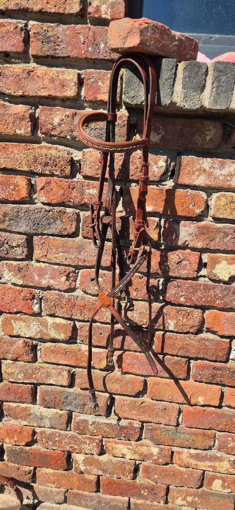 Hoofdstel bruin, Dieren en Toebehoren, Ophalen, Gebruikt, Recreatie