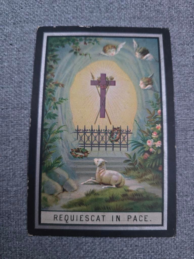 Carte de décès 1903, Melkwezer, Waanrode, Collections, Enlèvement ou Envoi, Image pieuse