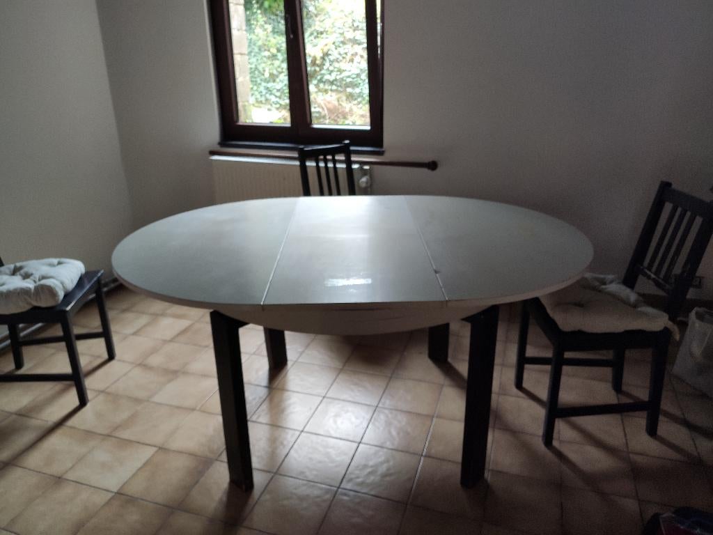 table ronde extensible ovale avec 4 chaises (de 4 à 8 pers), Jardin & Terrasse, Enlèvement, Utilisé, Ovale, Bois