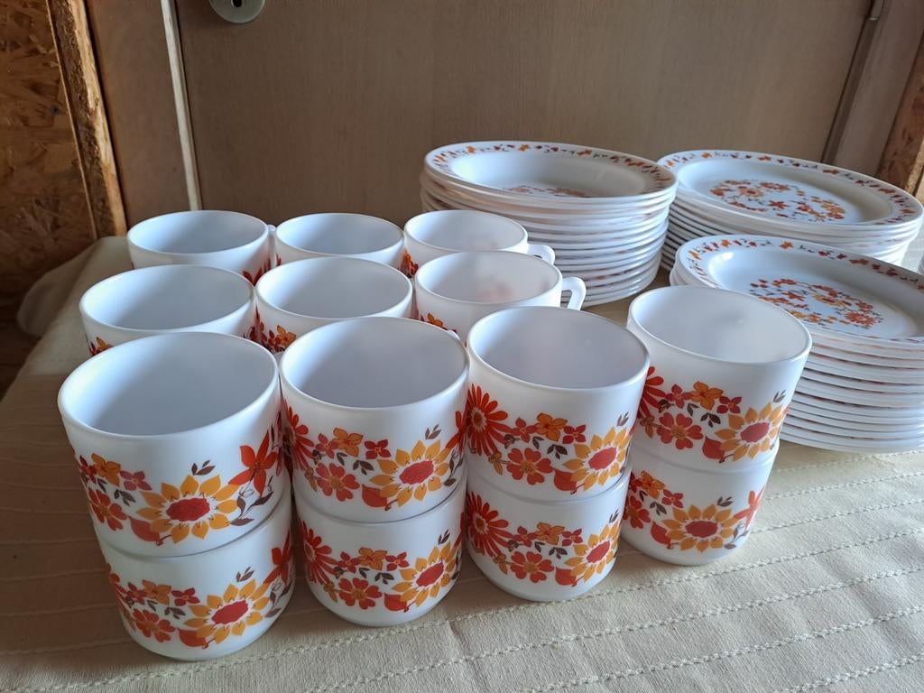 Vintage Arcopal servies, Maison & Meubles, Cuisine | Vaisselle, Enlèvement, Assiettes(s)